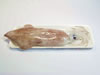 YARIIKA (SQUID) WHOLE
