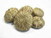 CHINA SHIITAKE