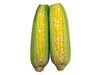 GARCE CUP SWEET CORN