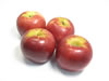 NZ/AUST RED APPLES
