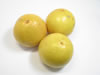 GRAPEFRUIT